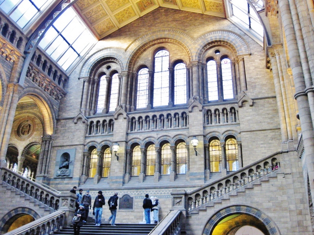 Museum Of Natural History Hours Tomorrow Museum Of Natural History Hours Tomorrow