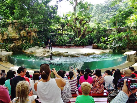 A Day at the Singapore Zoo | Spring Tomorrow