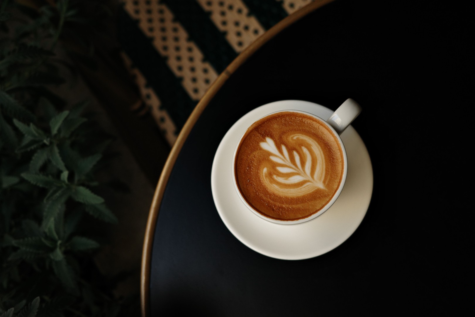 How to Choose a Coffee Supplier in Singapore